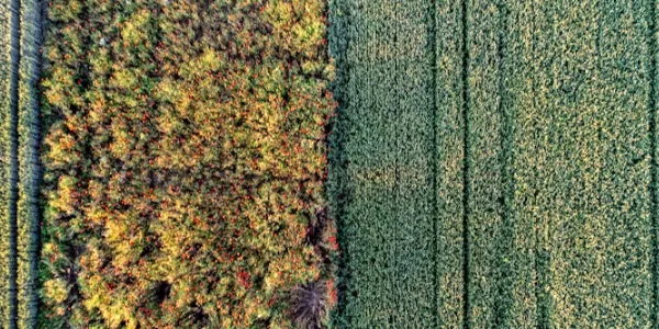Beleuchtung für die Agrarbranche: Moderne Lösungen für mehr Effizienz